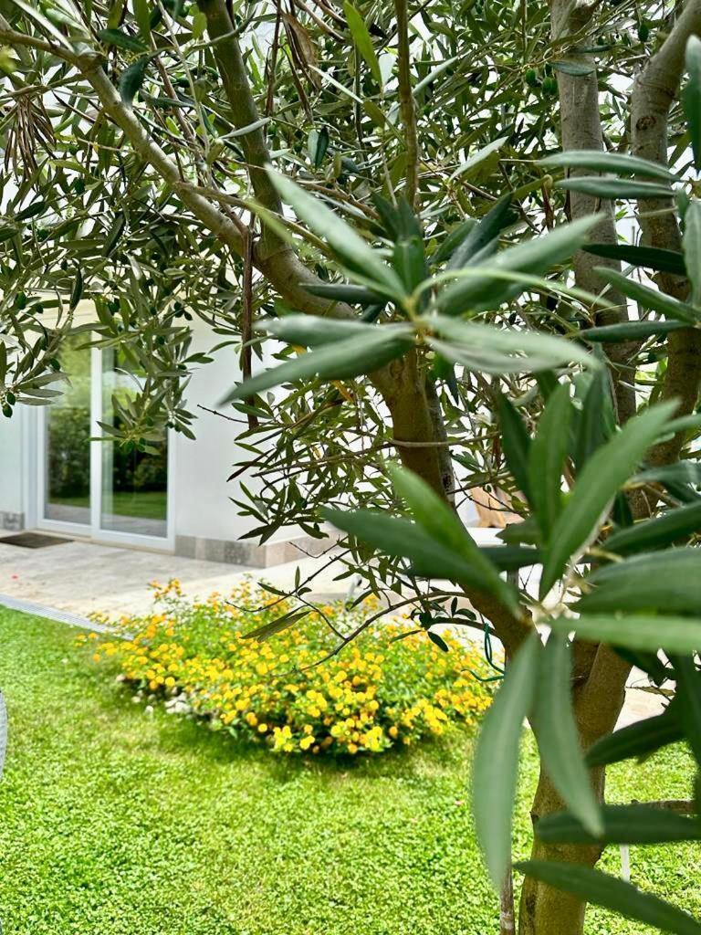 Casa Mila White Marina di Cerveteri Exterior foto